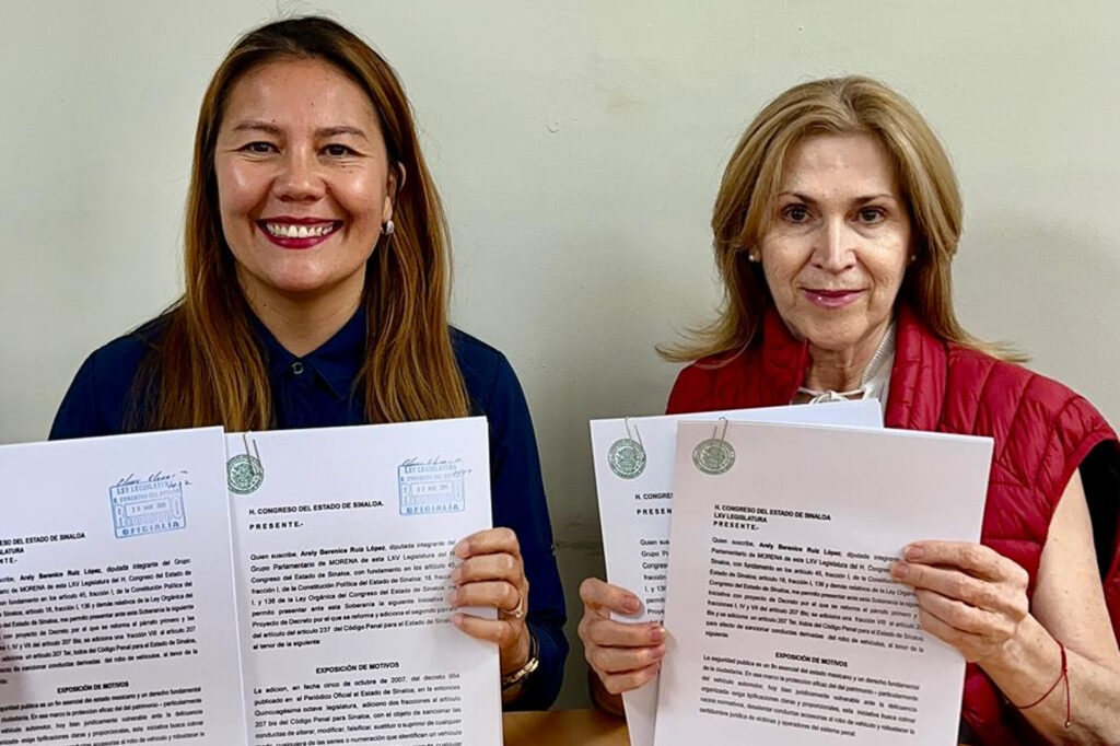 Diputada Arely Berenice Ruiz López