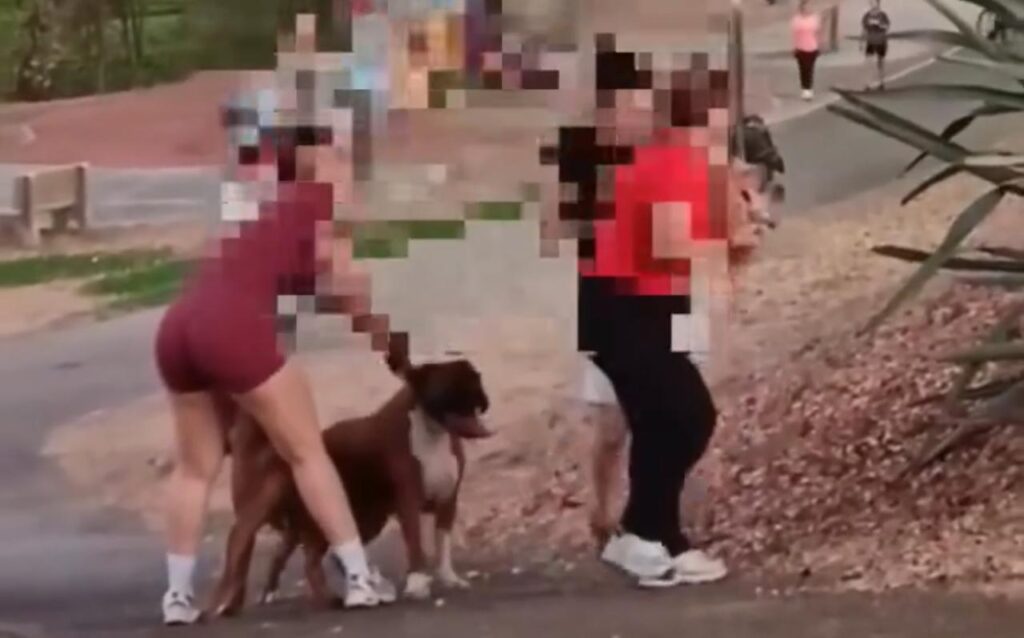 Perros sueltos acaban con la vida de un pequeño canino en el parque Las Riberas de Culiacán