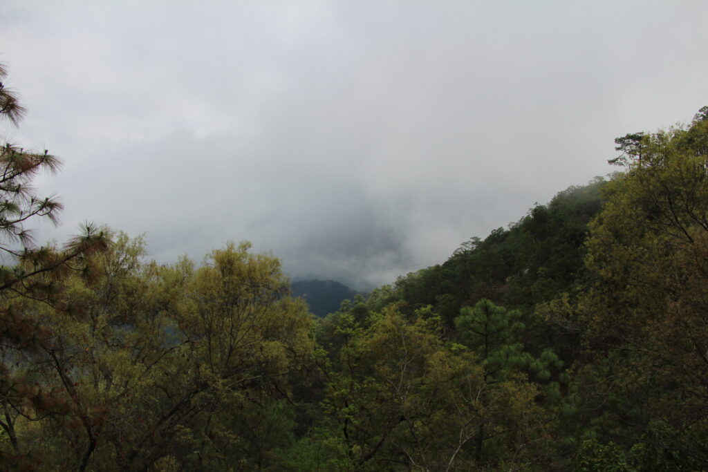 operativo de verano en Surutato