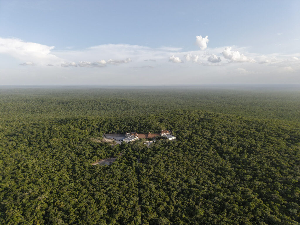 impulsan protección de la Selva Maya