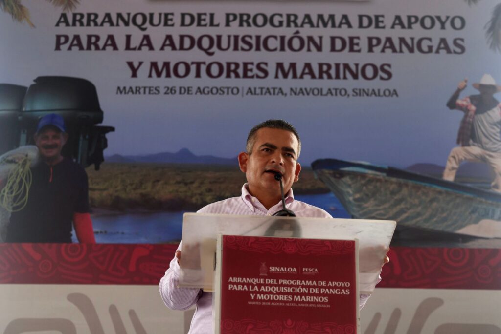 entrega motores y pangas