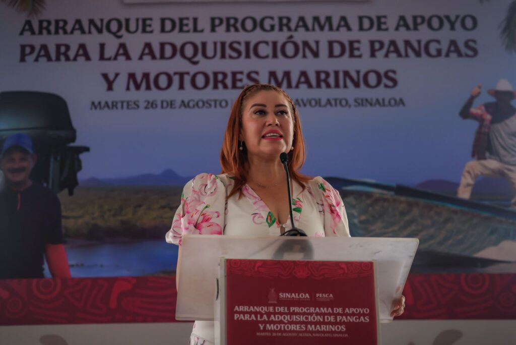 entrega motores y pangas