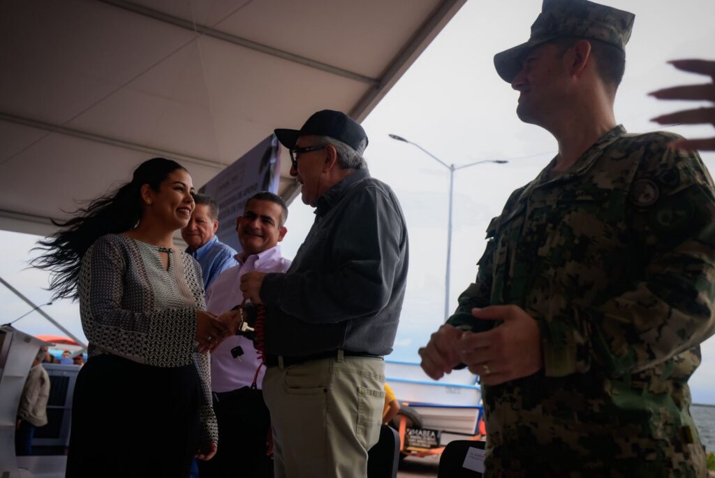 entrega motores y pangas