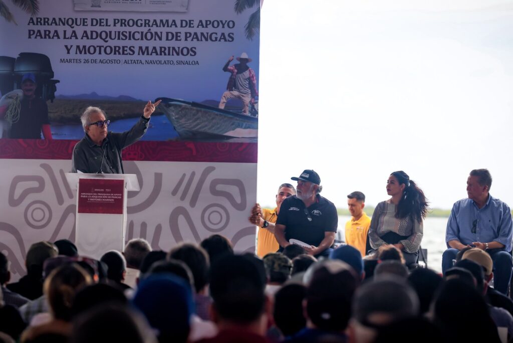 entrega motores y pangas