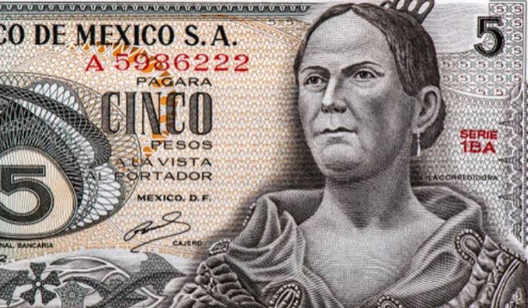 Diversidad Política | Billetes y Mujeres