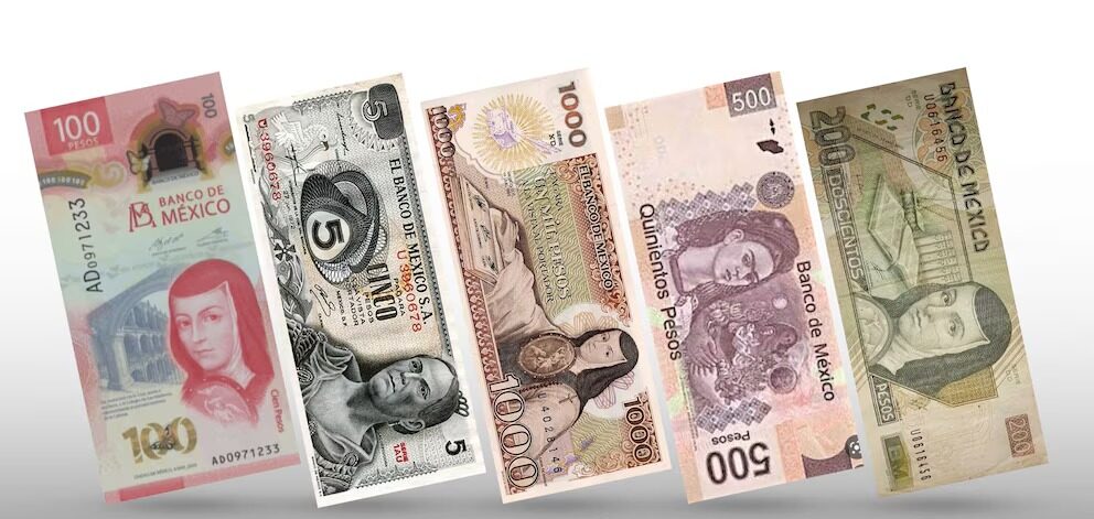 Diversidad Política | Billetes y Mujeres