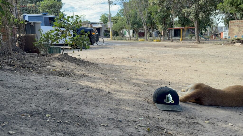 primer levantamiento forense de un perro