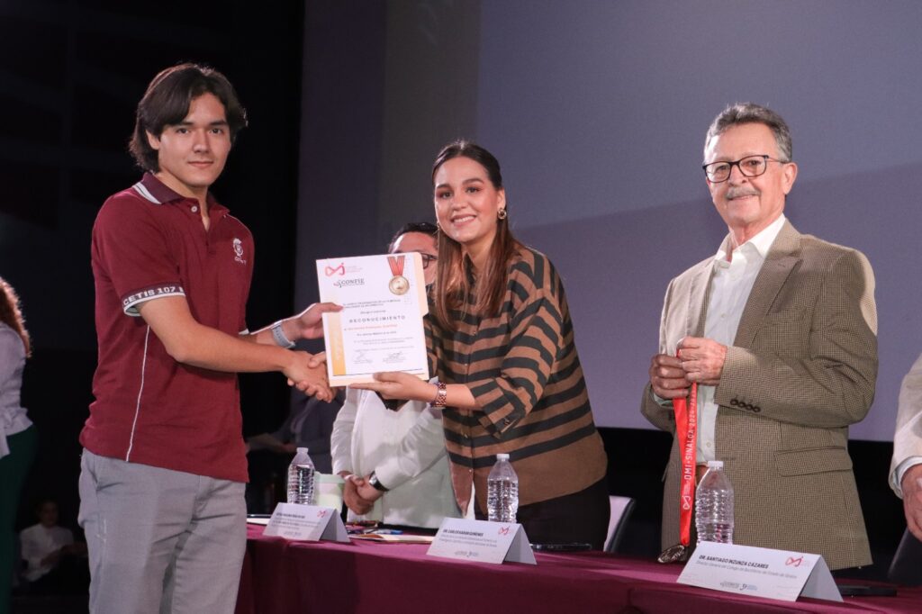 Olimpiada de Informática 2024-2025