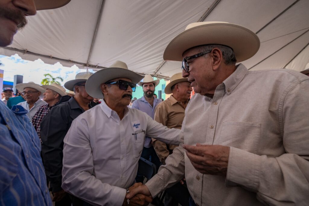 fortalecimiento del ganado