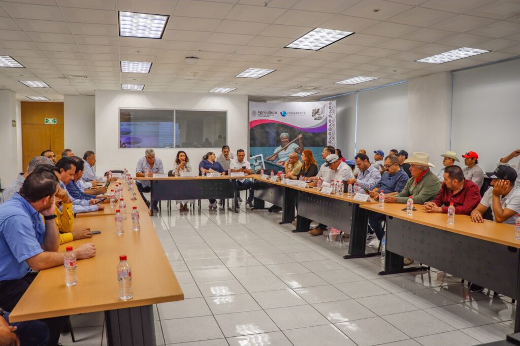 Sinaloa registra aumento del 25% en capturas de camarón