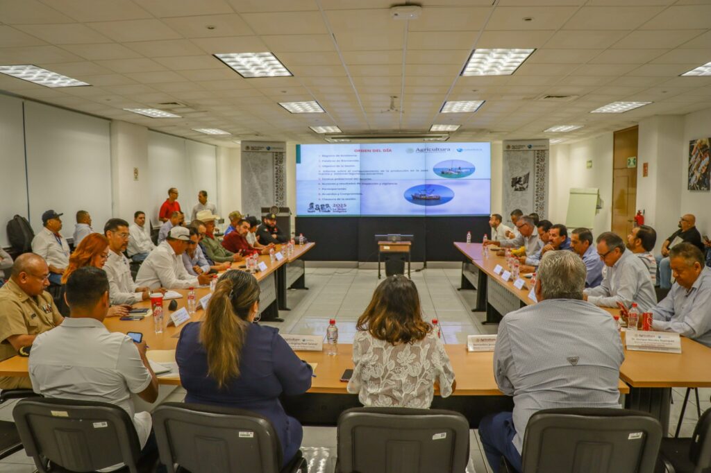 Sinaloa registra aumento del 25% en capturas de camarón