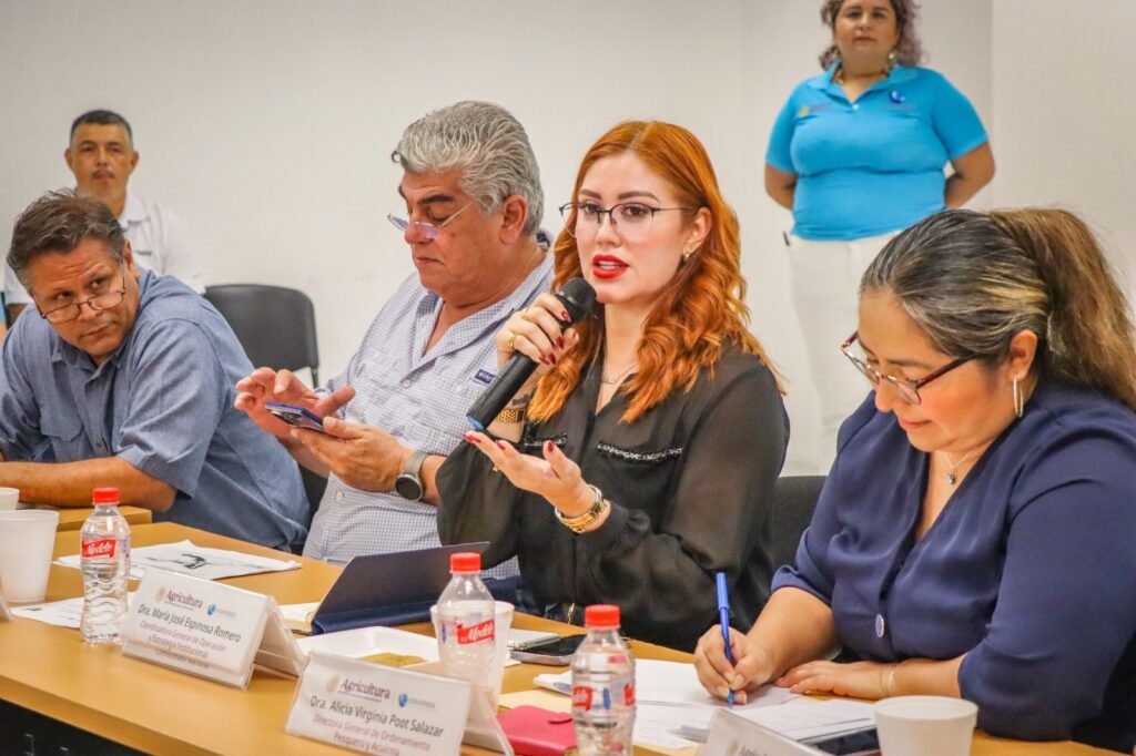 Sinaloa registra aumento del 25% en capturas de camarón