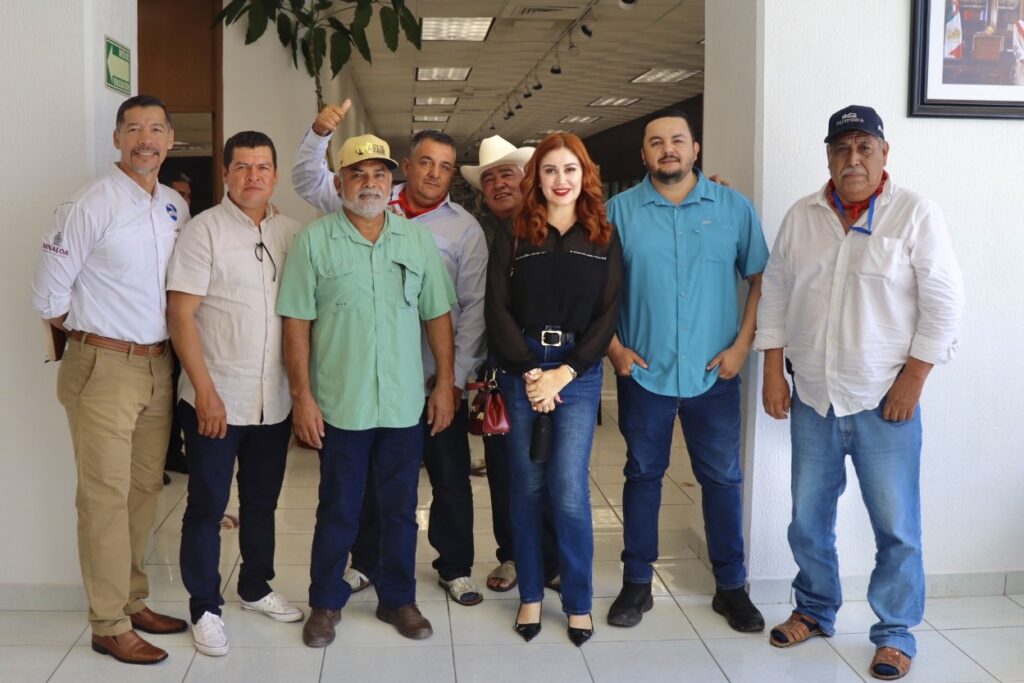 Sinaloa registra aumento del 25% en capturas de camarón