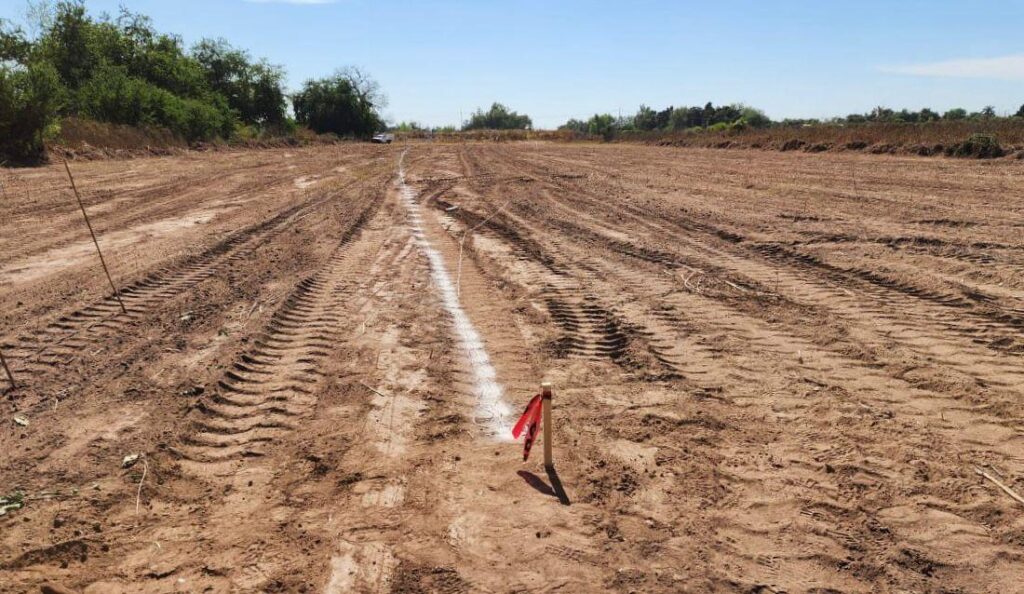 Malecón de Guamúchil
