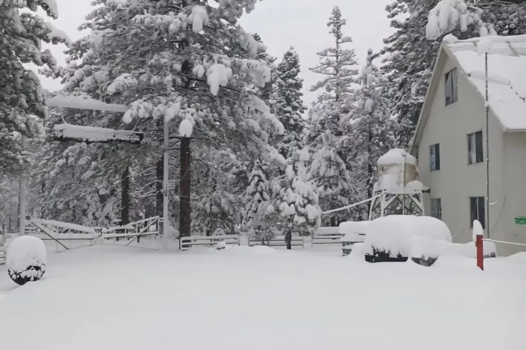 México enfrenta su primera tormenta invernal