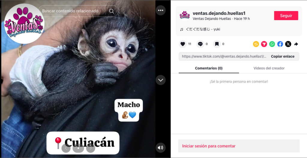 Rifan mono araña en Facebook