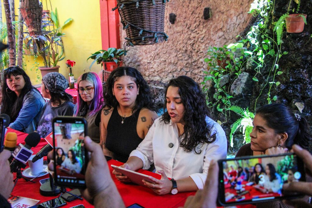 Activista vs poder político