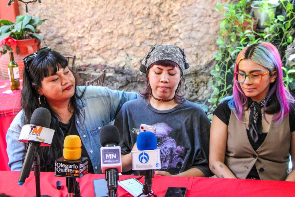 Activista vs poder político