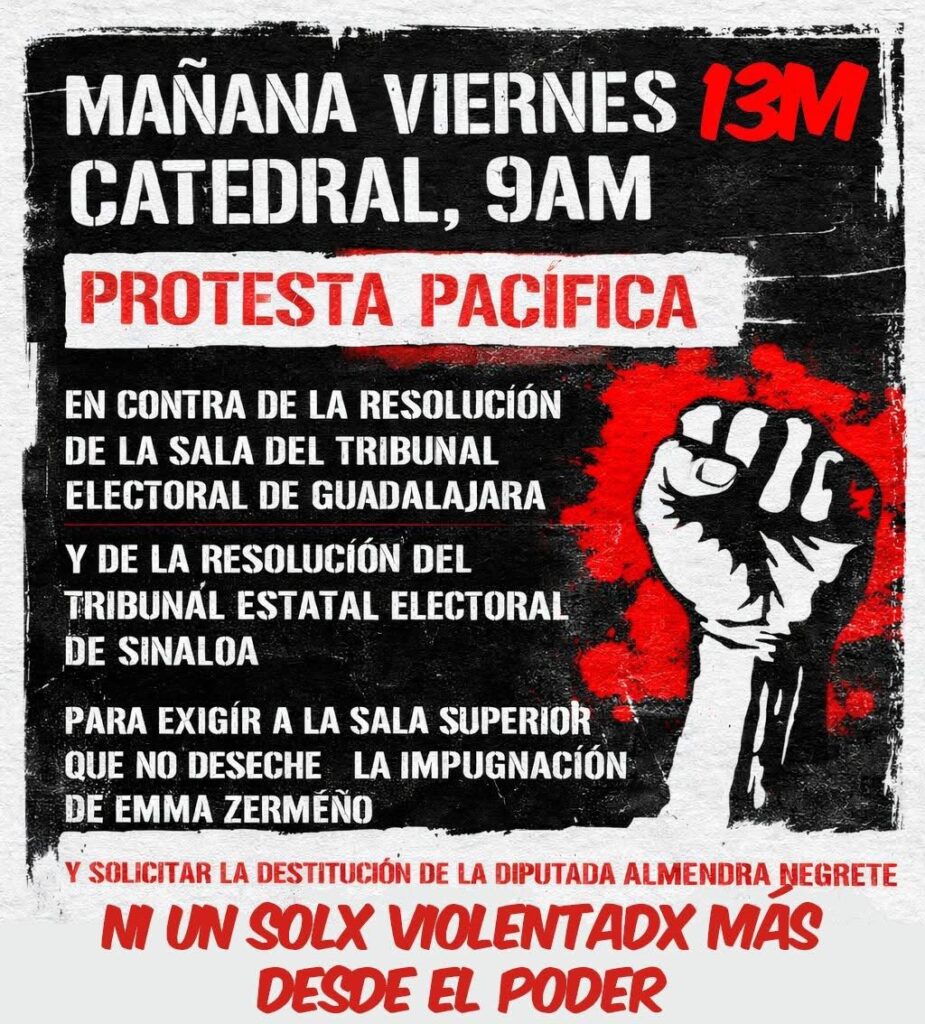 Caso diputada con licencia vs activista