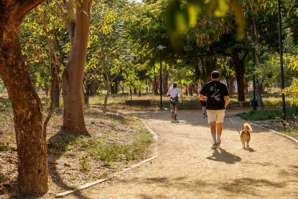 Cruising sexo anónimo