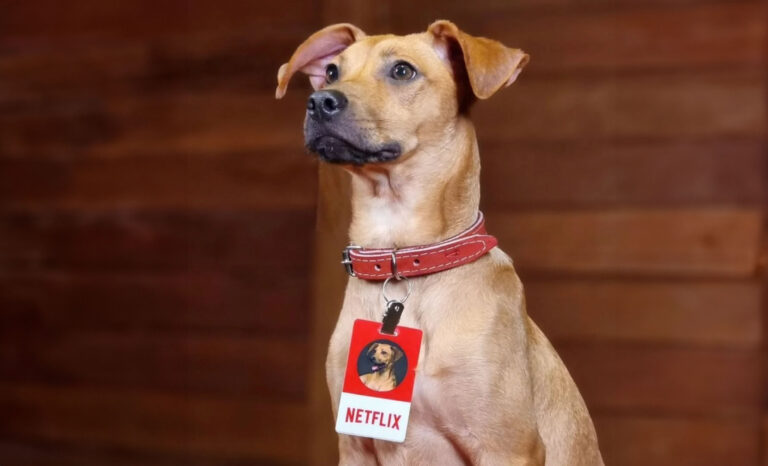 el perro caramelo una nueva raza