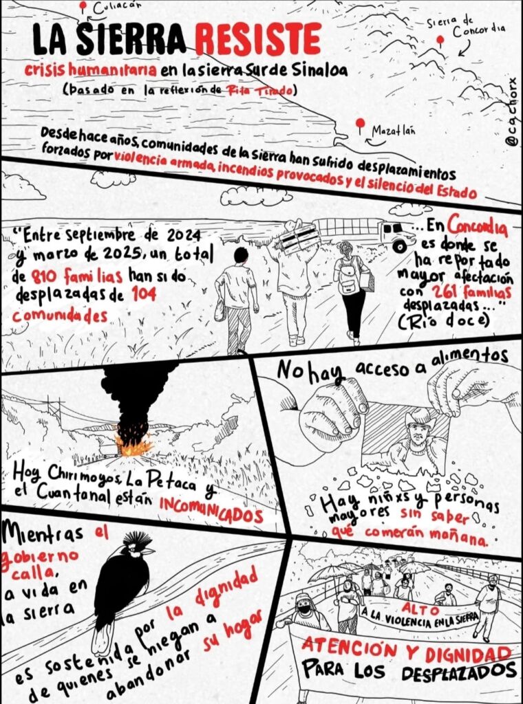 ¿Qué tipo de activismos estamos construyendo en Sinaloa