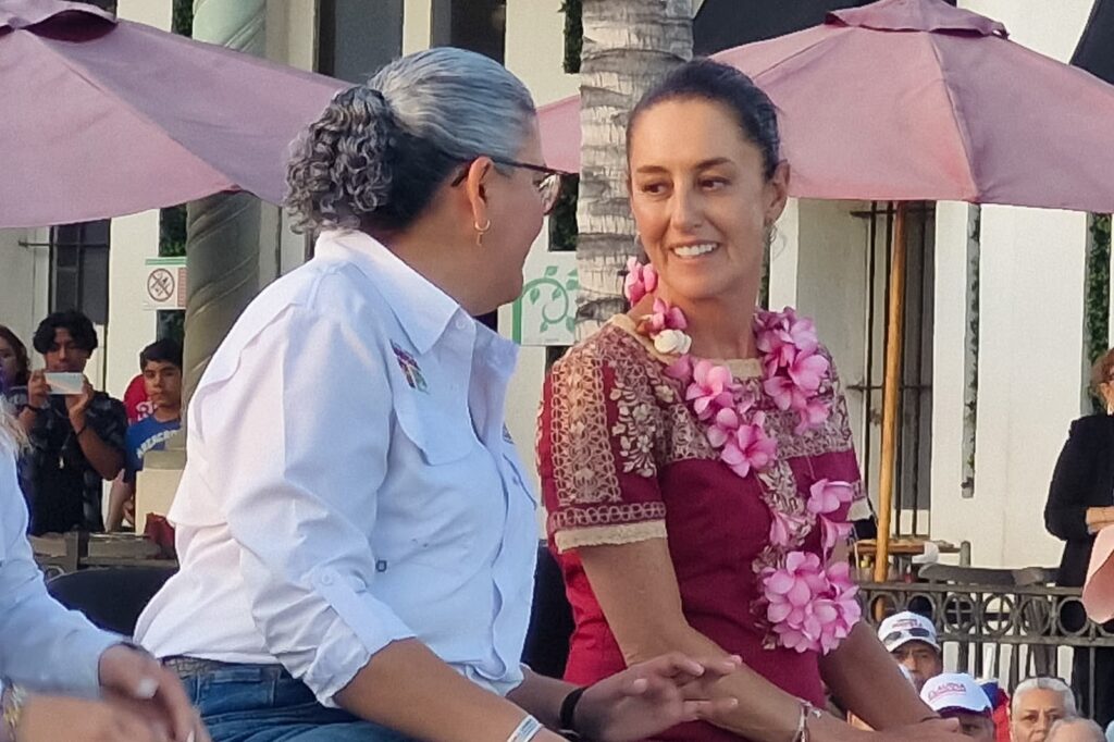 Graciela Domínguez pedirá licencia