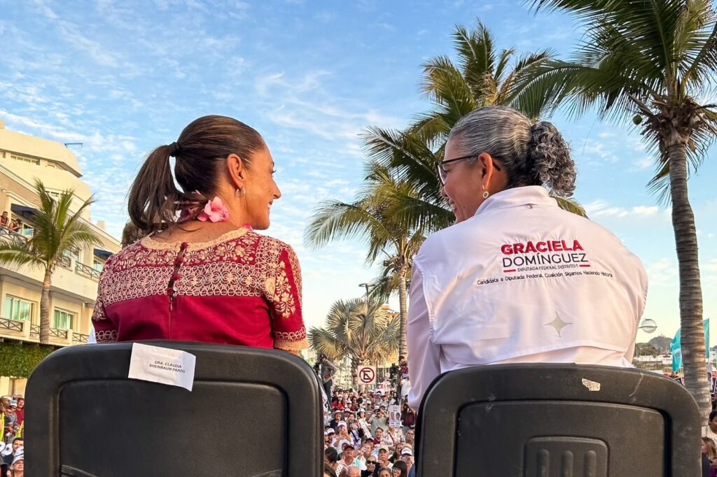 Graciela Domínguez pedirá licencia