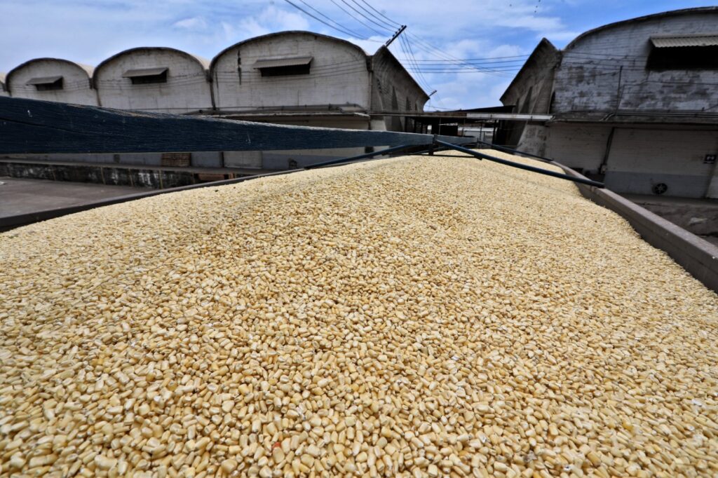 fortalecer al campo de Sinaloa